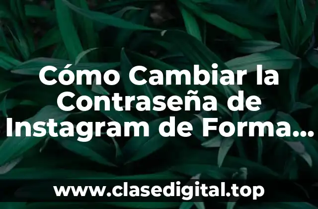 Cómo Cambiar la Contraseña de Instagram de Forma Segura y Fácil