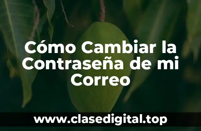 ¿Por qué es Importante Cambiar la Contraseña de mi Correo?