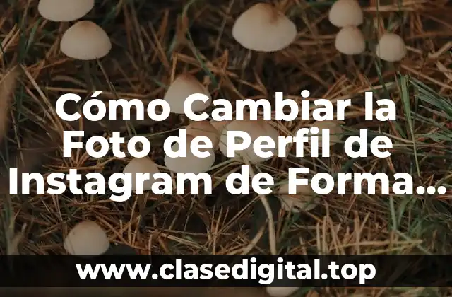 Por qué es Importante la Foto de Perfil de Instagram