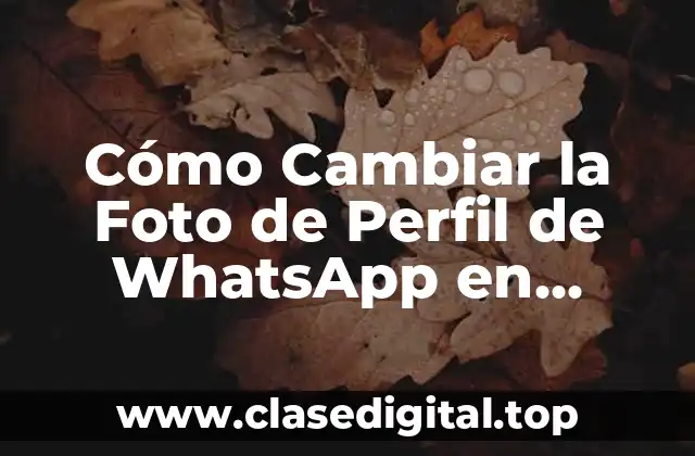 Cómo Cambiar la Foto de Perfil de WhatsApp en Celulares y Computadoras