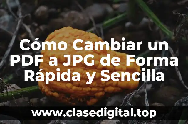 Cómo Cambiar un PDF a JPG de Forma Rápida y Sencilla