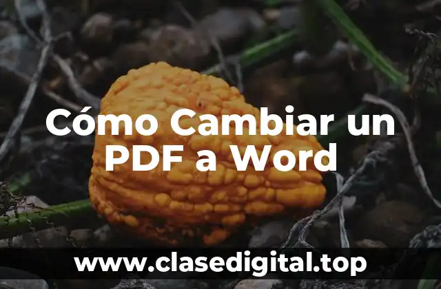 Cómo Cambiar un PDF a Word