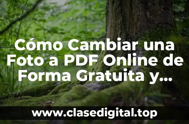 Cómo Cambiar una Foto a PDF Online de Forma Gratuita y Rápida