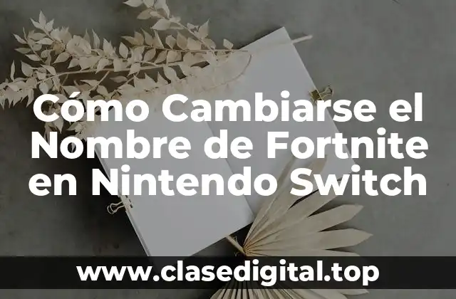 Cómo Cambiarse el Nombre de Fortnite en Nintendo Switch