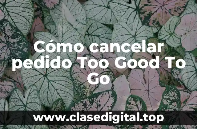 Cómo cancelar pedido Too Good To Go