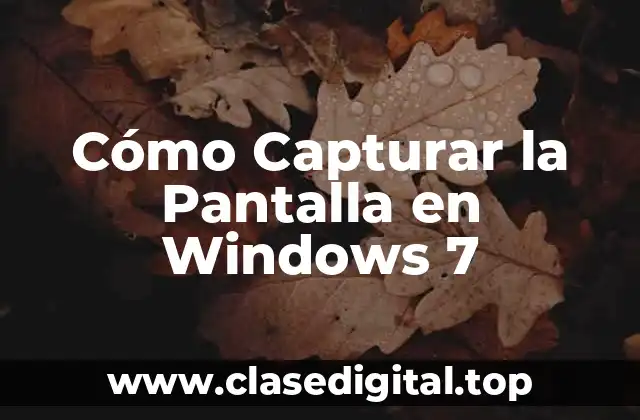 Métodos de Captura de Pantalla en Windows 7