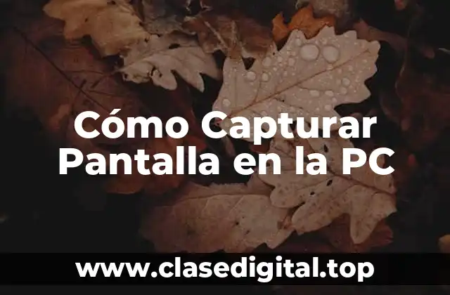 Cómo Capturar Pantalla en la PC