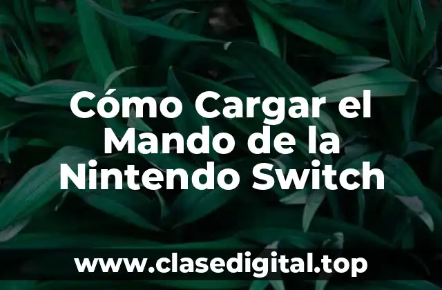 Cómo Cargar el Mando de la Nintendo Switch
