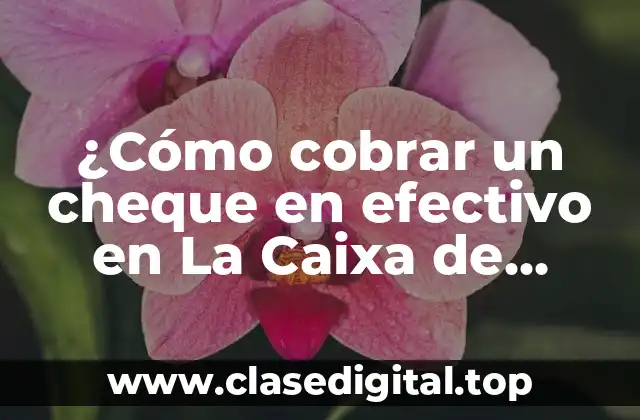 ¿Cómo cobrar un cheque en efectivo en La Caixa de manera rápida y segura?