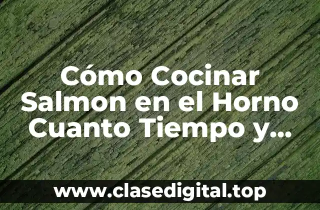 Cómo Cocinar Salmon en el Horno Cuanto Tiempo y Consejos Utiles