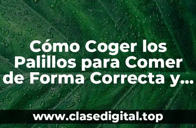 Cómo Coger los Palillos para Comer de Forma Correcta y Fácil