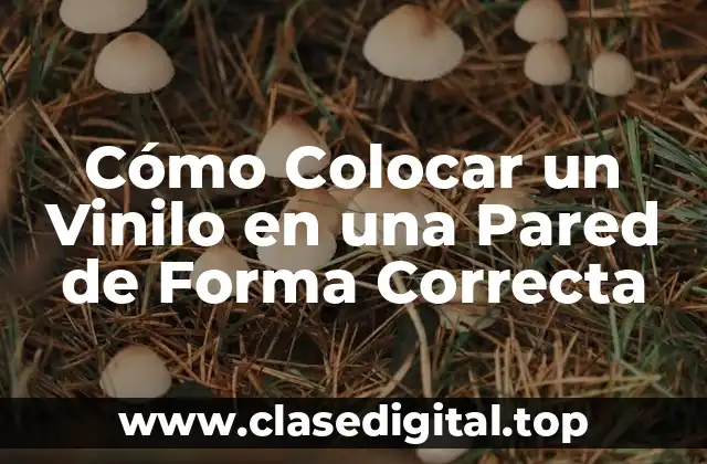 Cómo Colocar un Vinilo en una Pared de Forma Correcta