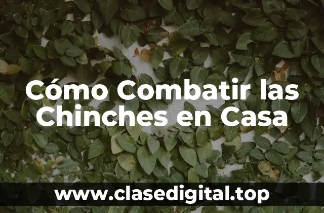 Cómo Combatir las Chinches en Casa