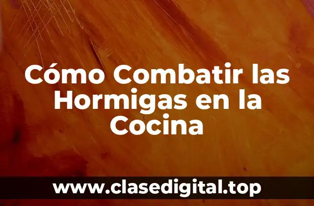 ¿Por qué las Hormigas se Atraen a la Cocina?