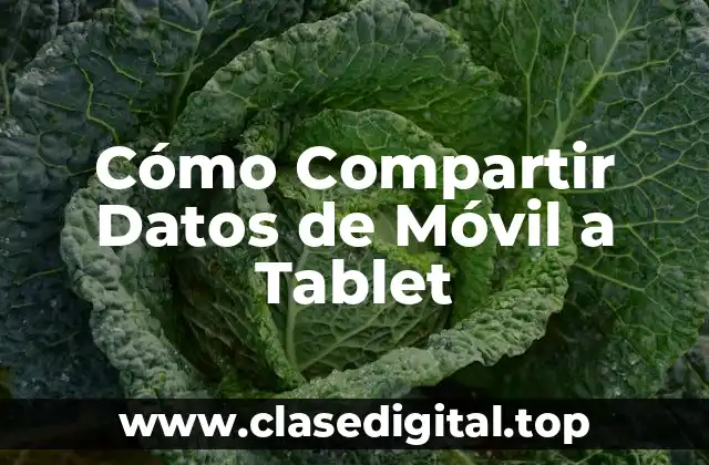 ¿Por qué es Importante Compartir Datos de Móvil a Tablet?