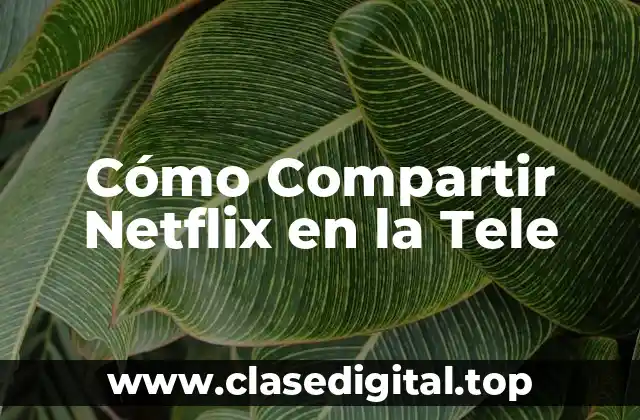 Cómo Compartir Netflix en la Tele