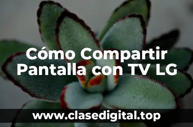 ¿Por qué Compartir Pantalla con TV LG es Útil?