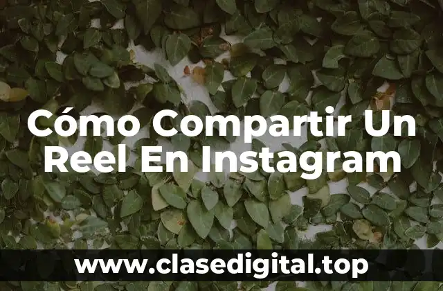 Cómo Compartir Un Reel En Instagram