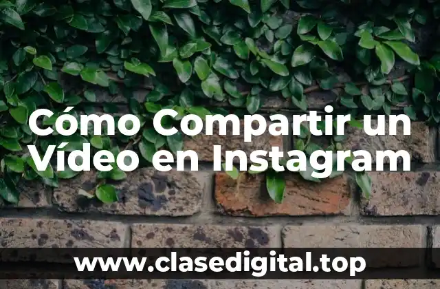 Cómo Compartir un Vídeo en Instagram