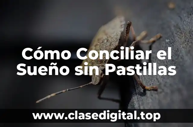 ¿Por qué es Importante Conciliar el Sueño sin Pastillas?