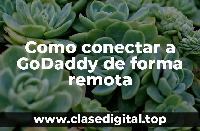 Como conectar a GoDaddy de forma remota