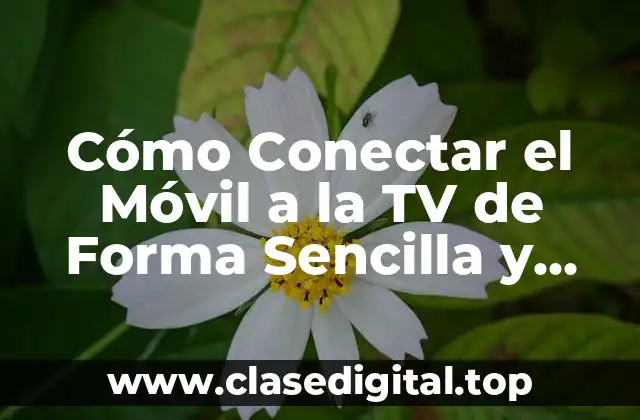 Cómo Conectar el Móvil a la TV de Forma Sencilla y Eficiente