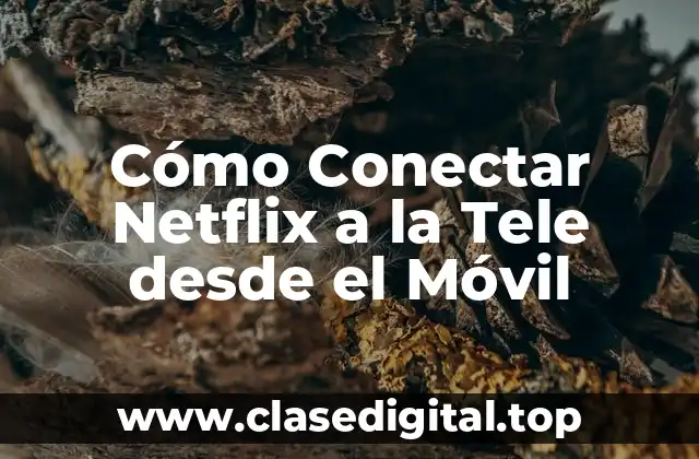 Cómo Conectar Netflix a la Tele desde el Móvil