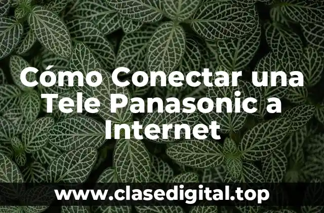 Cómo Conectar una Tele Panasonic a Internet