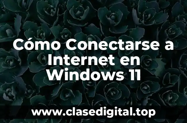 Opciones de Conexión a Internet en Windows 11