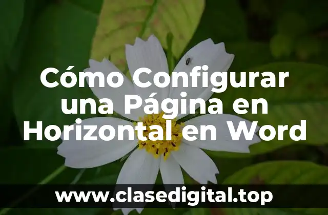 Cómo Configurar una Página en Horizontal en Word