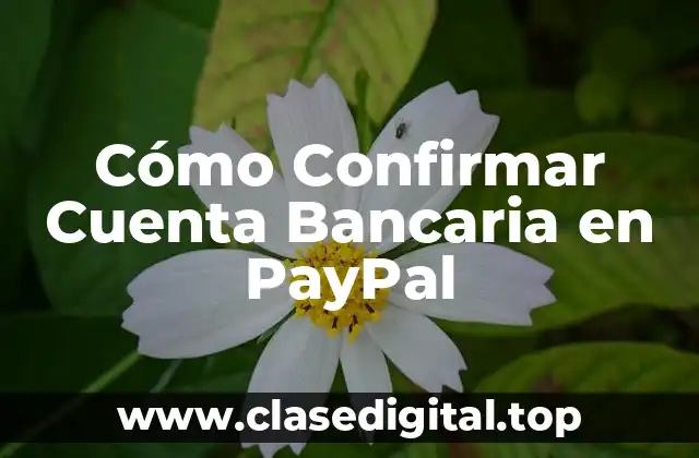 Cómo Confirmar Cuenta Bancaria en PayPal