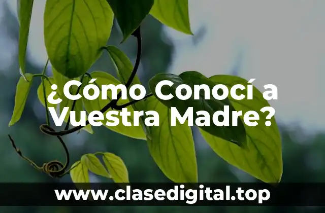 El Origen de la Serie