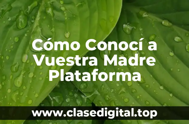 ¿Cómo Funciona Cómo Conocí a Vuestra Madre Plataforma?