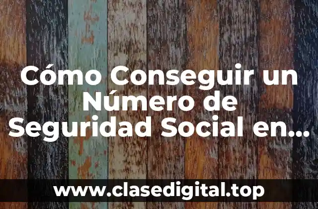 Cómo Conseguir un Número de Seguridad Social en EE. UU.