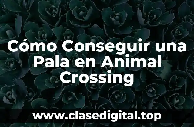 Requisitos Previos para Conseguir una Pala