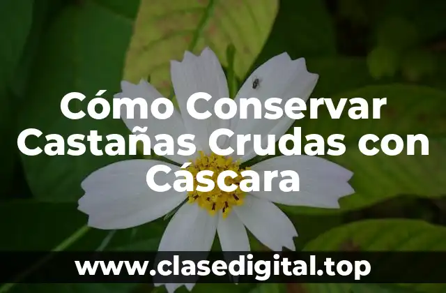 Importancia de la Conservación de Castañas Crudas con Cáscara