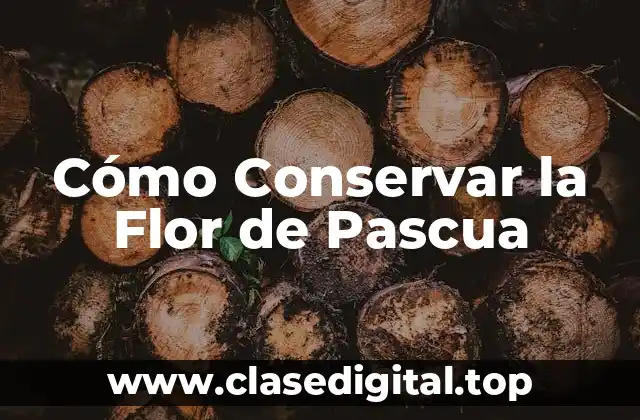 Cómo Conservar la Flor de Pascua