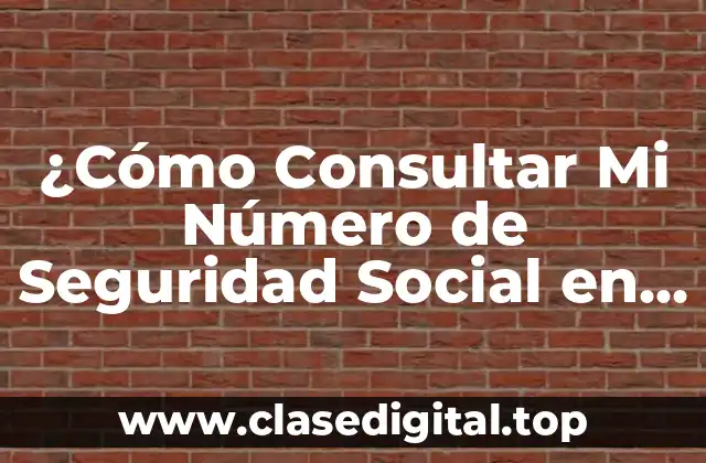 ¿Cómo Consultar Mi Número de Seguridad Social en Línea?
