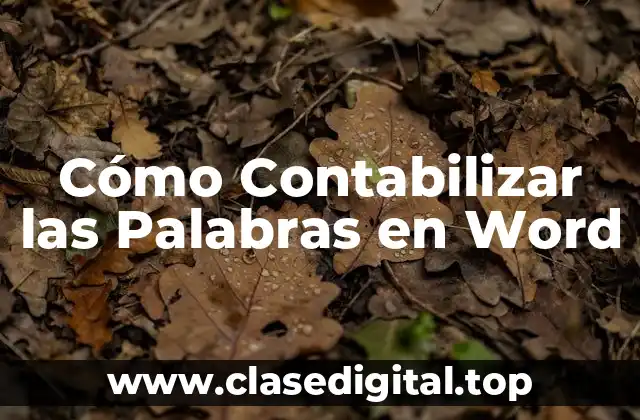 Cómo Contabilizar las Palabras en Word