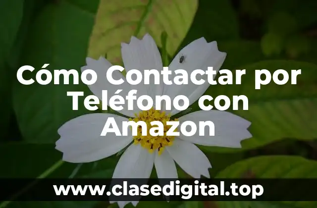 ¿Por qué es Importante Contactar con Amazon por Teléfono?