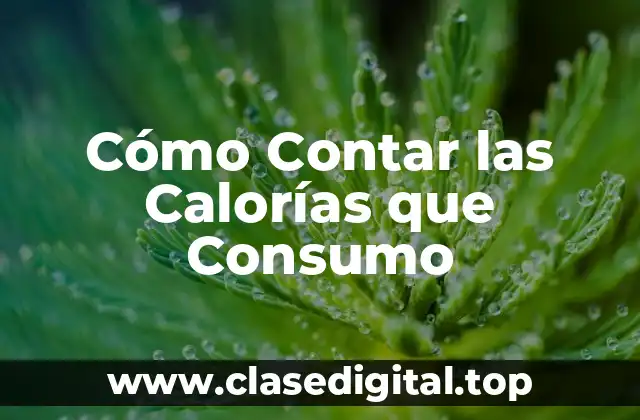 Cómo Contar las Calorías que Consumo