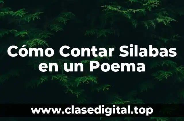 ¿Qué es una Silaba?