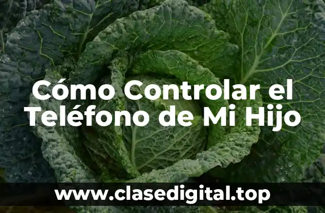 ¿Por qué es Importante Supervisar el Uso del Teléfono de los Adolescentes?