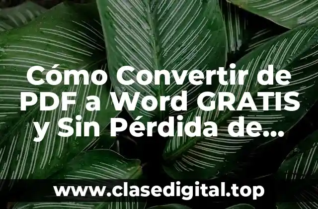 Cómo Convertir de PDF a Word GRATIS y Sin Pérdida de Formato