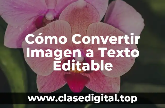 Cómo Convertir Imagen a Texto Editable