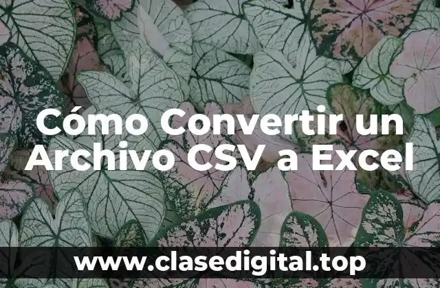 Cómo Convertir un Archivo CSV a Excel