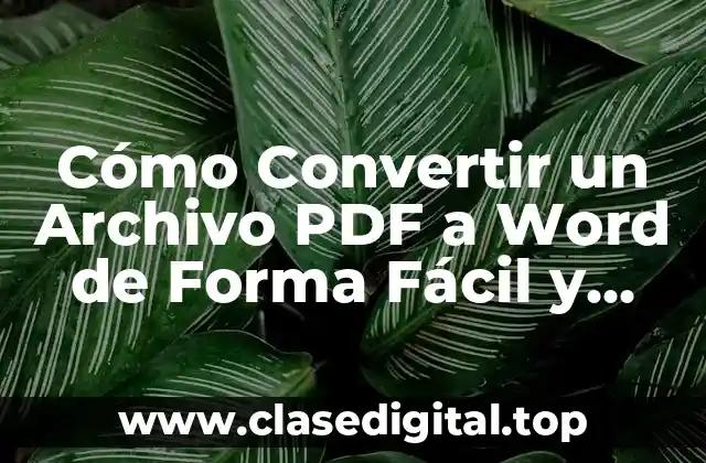 Cómo Convertir un Archivo PDF a Word de Forma Fácil y Rápida
