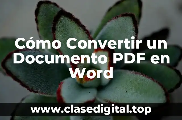 Cómo Convertir un Documento PDF en Word
