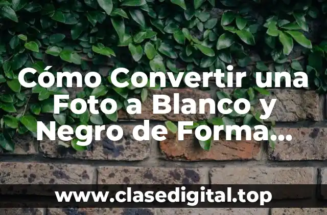 Cómo Convertir una Foto a Blanco y Negro de Forma Profesional