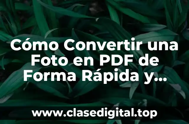 Cómo Convertir una Foto en PDF de Forma Rápida y Sencilla